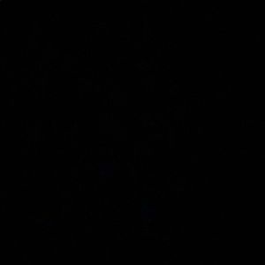 Meet your Posher, Yesica